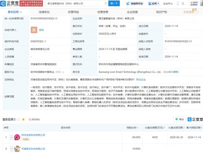 網(wǎng)絡(luò)技術(shù)新力量 吳劍創(chuàng)立5000萬(wàn)元公司，深耕網(wǎng)絡(luò)技術(shù)服務(wù)